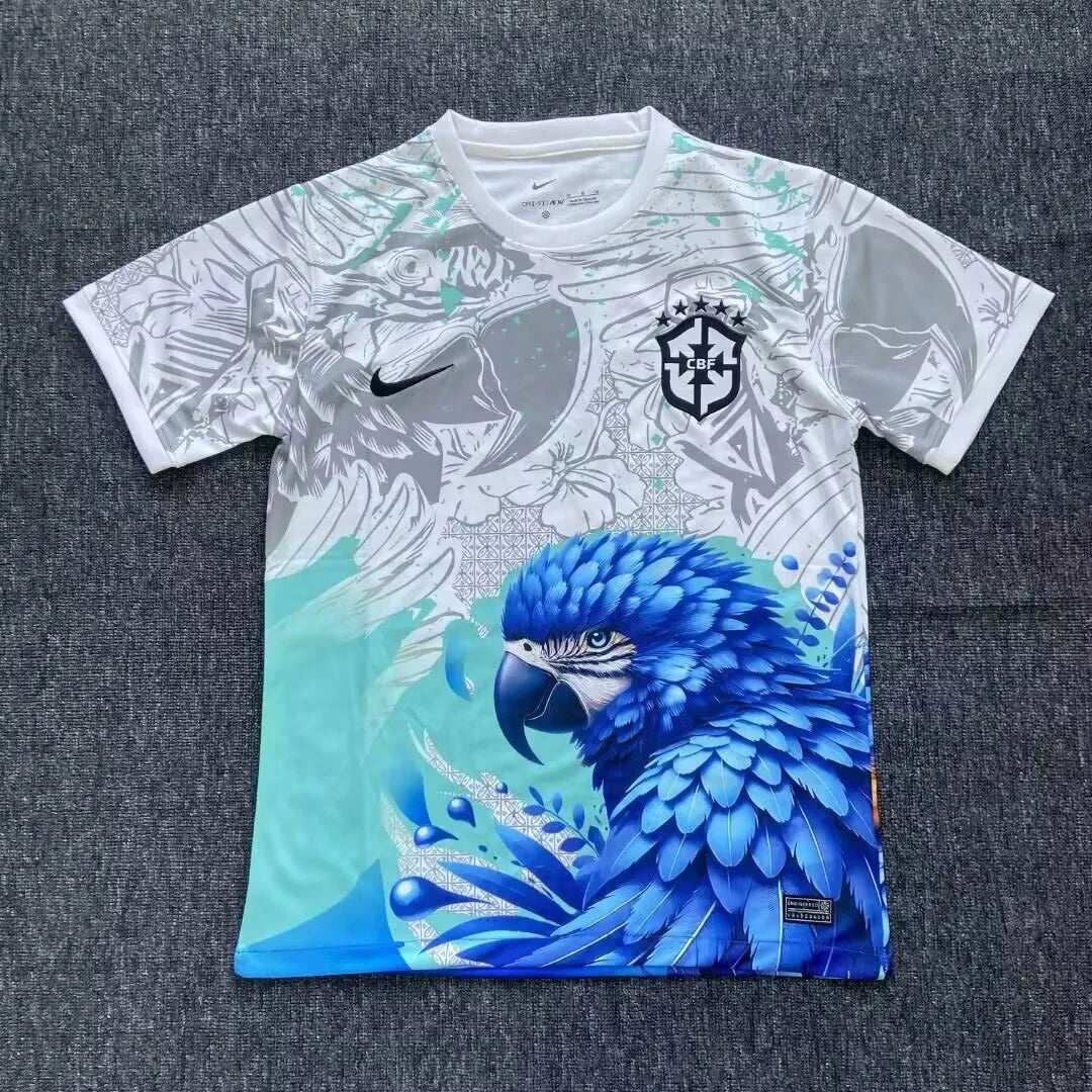 Brazil National Team SPECIAL EDITION Grey/Blue