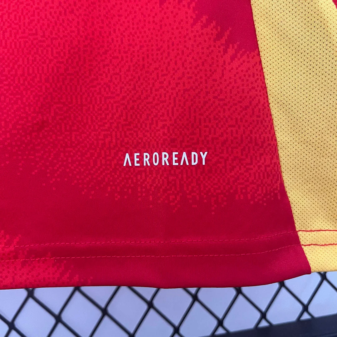 Spain National Team Home Jersey 2024/2025